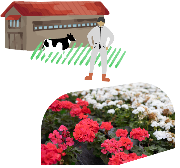 イラスト